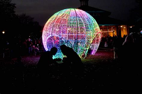 brookfield zoo festival of lights